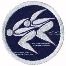 Schwimmabzeichen silber Schwimmabzeichen silber