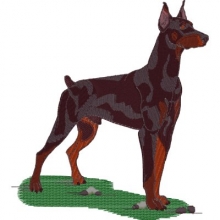 Dobermannmotiv gestickt