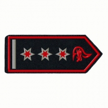 KL-BW-10 Schulterklappen Hauptl�schmeister als Stellv. Abteilungs Kommandant