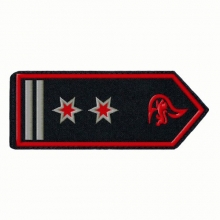 KL-BW-12 Schulterklappen Oberl�schmeister als Abteilungs Kommandant / Stellv. FW