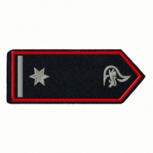 KL-BW-21 Schulterklappen Brandmeister/-in als Stellv. Abt. Kommandant/-in