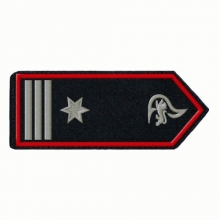 KL-BW-29 Schulterklappen Brandmeister/-in als FW-Kommandant/-in