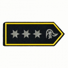 Schulterklappen Brandamtmann/-frau