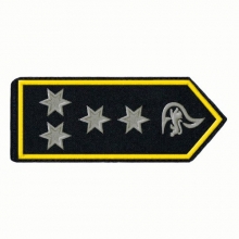 Schulterklappen Brandamtsrat /-r�tin