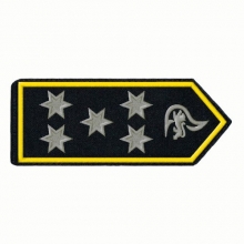 Schulterklappen Brandoberamtsrat/-r�tin