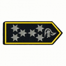 Schulterklappen Brandoberamtsrat/-r�tin mit Zulage
