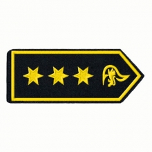 Schulterklappen Branddirektor/-in