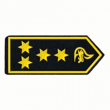 Schulterklappen Leitende/-r Branddirektor/-in