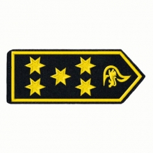 Schulterklappen  Leitende/-r Branddirektor/-in mit Zulage
