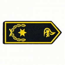 Schulterklappen Stadtbranddirektor/-in