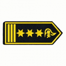 Schulterklappen Branddirektor/-in als FW-Kommandant/-in