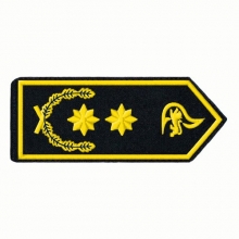 Schulterklappen Landesbranddirektor/-in