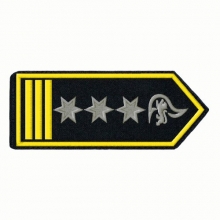 Schulterklappen  Brandamtmann/-frau FW-Kommandant/-in
