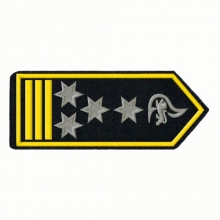 Schulterklappen  Brandamtsrat/-r�tin als FW-Kommandant/-in
