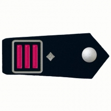KL-HESS-21 Schulterklappen Hauptl�schmeister/-in als stellvertretende/-r Wehrf�h