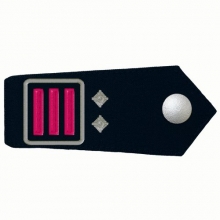KL-HESS-23 Schulterklappen Hauptl�schmeister/-in als stellvertretende/-r GBI/SBI