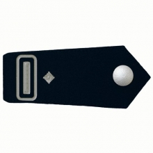 KL-HESS-25 Schulterklappen Brandmeister/-in als stellvertretende/-r Wehrf�hrer/-