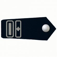 KL-HESS-26 Schulterklappen Brandmeister/-in als Wehrf�hrer/-in