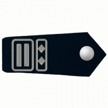 KL-HESS-32 Schulterklappen Oberbrandmeister/-in als GBI/SBI KL-HESS-32 Schulterklappen Oberbrandmeister/-in als GBI/SBI