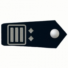 KL-HESS-34 Schulterklappen Hauptbrandmeister/-in als stellvertretende/-r GBI/SBI KL-HESS-34 Schulterklappen Hauptbrandmeister/-in als stellvertretende/-r GBI/SBI