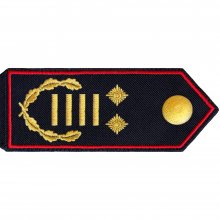 Schulterklappe Regierungsbrandinspektor
