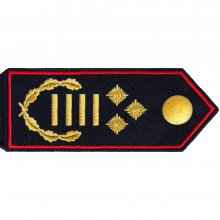 Schulterklappe 1. Regierungsbrandinspektor Landesbrandi
