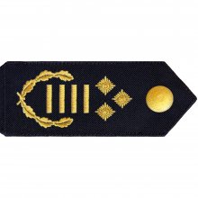 Schulterklappe Landesbranddirektor