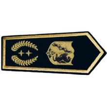 KL-NRW-8184-L Schulterklappe NRW mit Klettverschluss Stellv. Bezirksbrandmeister KL-NRW-8184-L Schulterklappe NRW mit Klettverschluss Stellv. Bezirksbrandmeister
