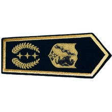KL-NRW-8185-L Schulterklappe NRW mit Klettverschluss Bezirksbrandmeister KL-NRW-8185-L Schulterklappe NRW mit Klettverschluss Bezirksbrandmeister