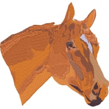 Reitmotiv - Pferd