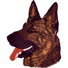 Hunde - Sch�ferhundekopf 2