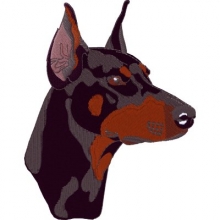 Hunde - Dobermann Kopf