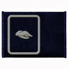 SCHL-HESS-54 Gemeindejugendfeuerwehrwart/-w�rtin