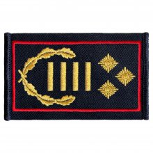 Schulterschlaufe 1. Regierungsbrandinspektor Landesbran
